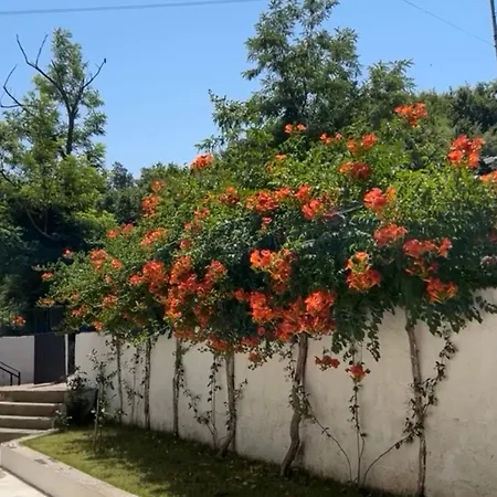 Διαμέρισμα Lexhulo 